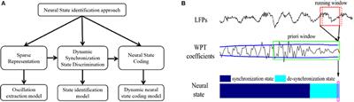 Dynamic Neural State Identification in Deep Brain Local Field Potentials of Neuropathic Pain